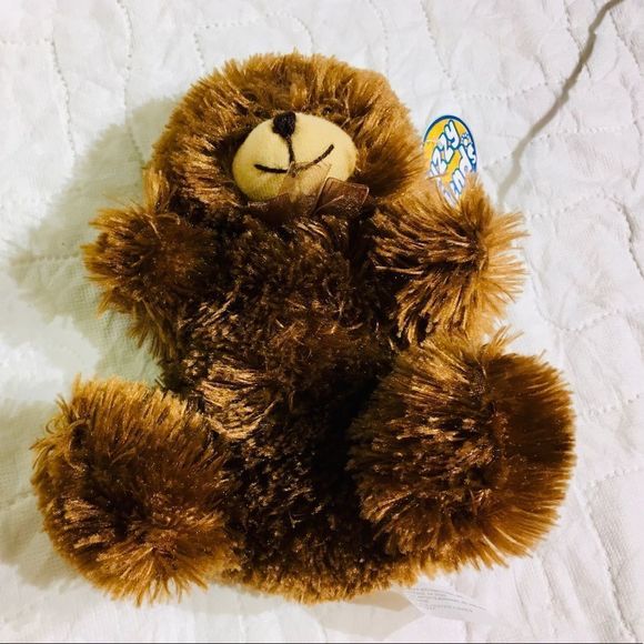 Bear  - Picture 2 of 4